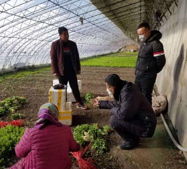 长春疫情何时清零？最新动态与科学预测分析