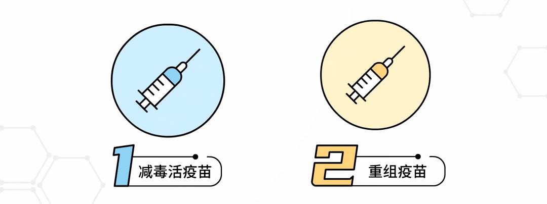 长春生物疫苗是什么品牌？全面解析长春生物及其疫苗产品