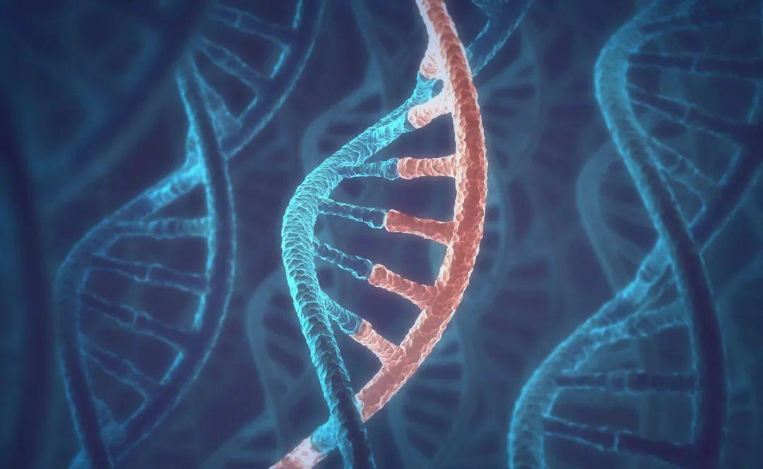 长春生物新冠疫苗叫什么名字？全面解析其名称与特点