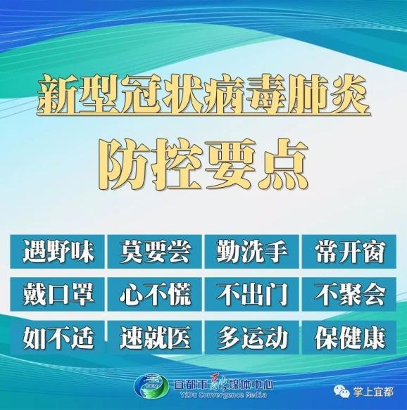 云南省疫情防控指挥部最新通告，科学精准防控，保障人民健康安全