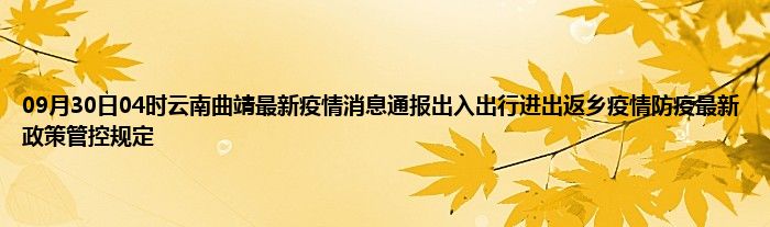云南省疫情防控最新动态，政策调整与常态化管理措施解析