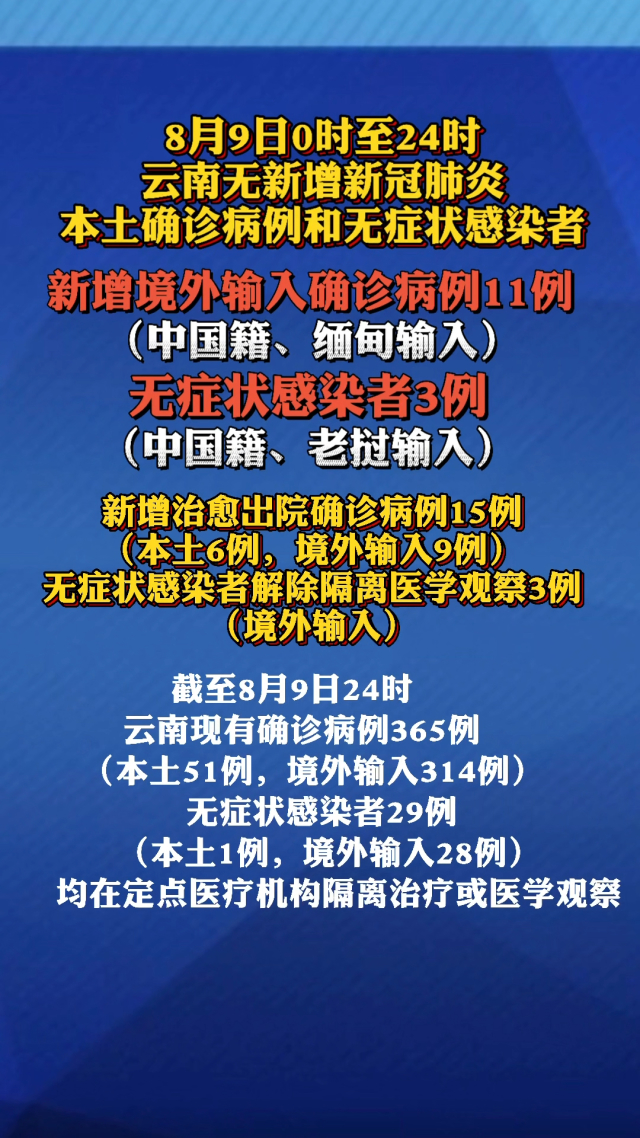 云南省疫情最新动态，权威发布与防控措施全面解析