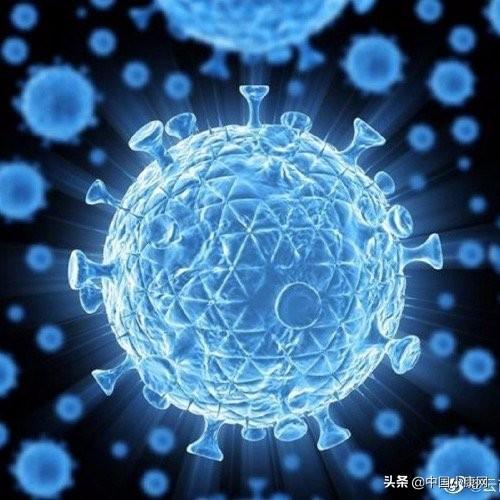 吉林省疫情最新动态，今日新增病例与防控措施全面解析