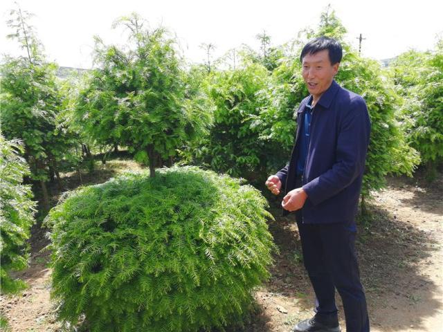太原疫情最新动态与甘肃省防控措施全面解析