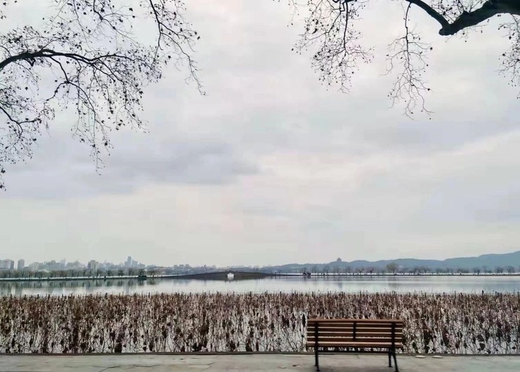 疫情期间杭州，一座城市的温暖与坚韧