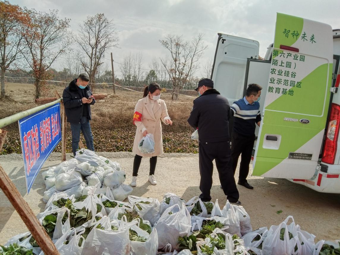 南昌高速最新封路通知，疫情管控下的实时交通指南