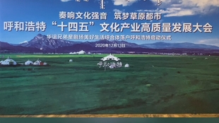 疫情下的呼和浩特，坚韧与希望的城市篇章