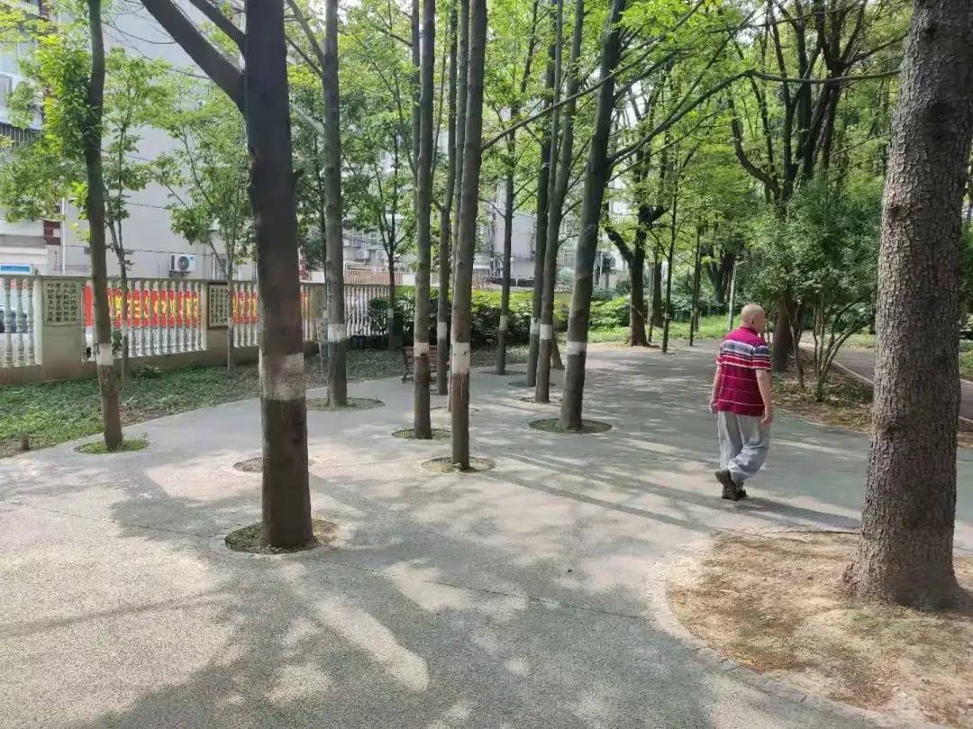乌鲁木齐疫情管控中心，守护城市健康的坚实防线