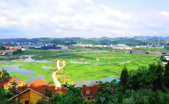乌鲁木齐村长，乡村治理的现代转型与地方特色