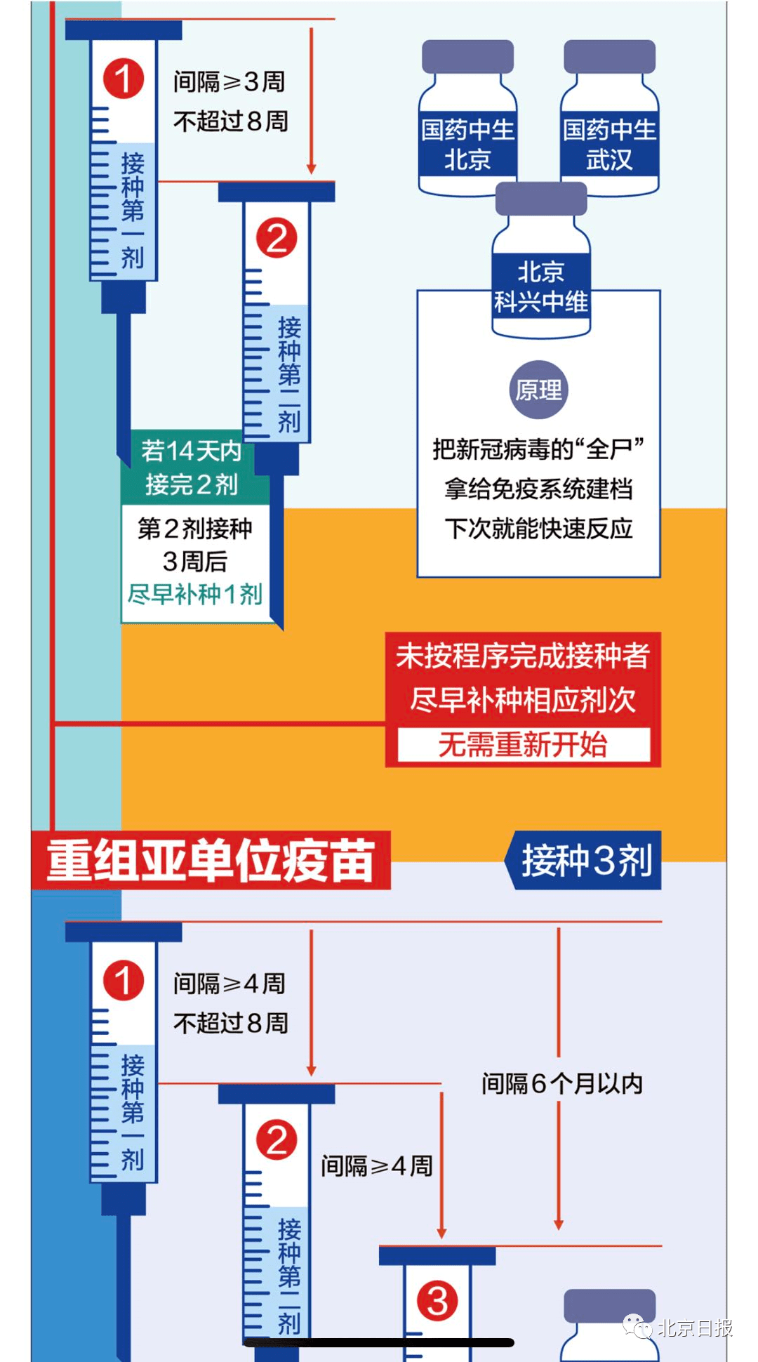 为什么北京疫苗和河北疫苗不一样？揭秘背后的原因与科学依据