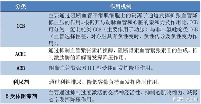 天津疫情战时机制，全面解析与应对策略