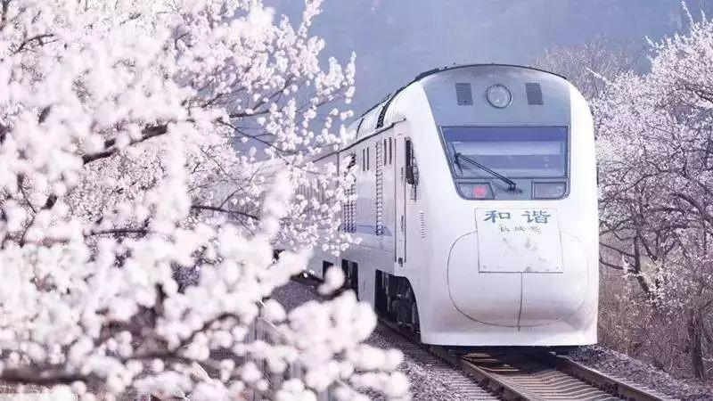 天津疫情持续，河北会因此放假吗？最新政策解读