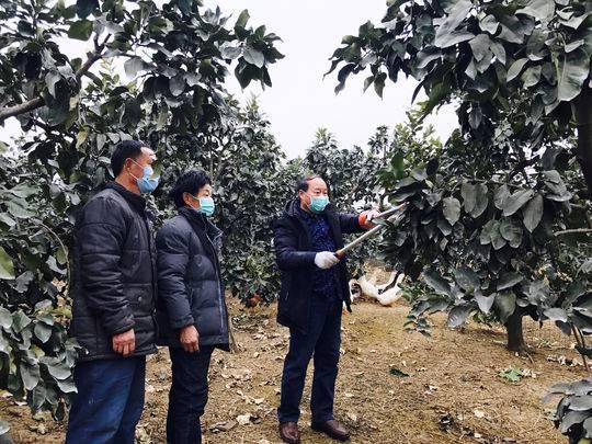 四川省疫情数据表解读，最新动态与防控策略分析