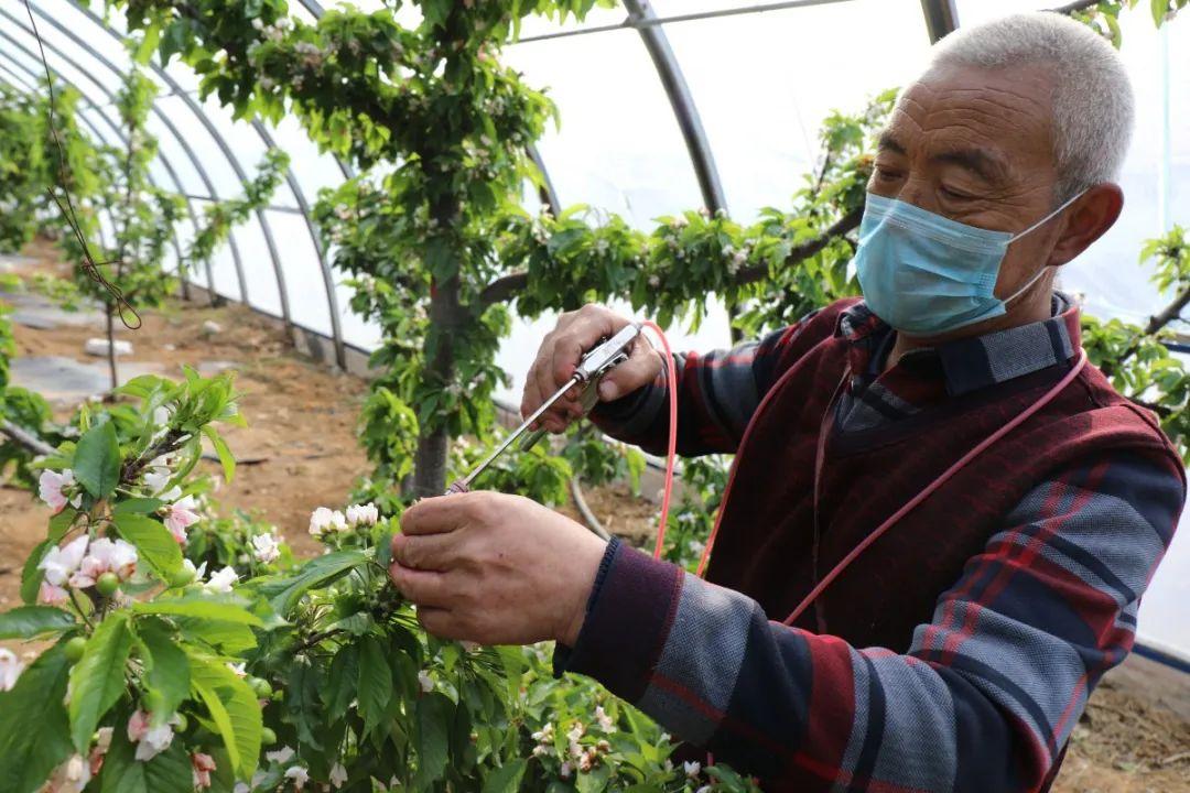 石家庄疫情尹某某轨迹，详细活动路径与防控启示