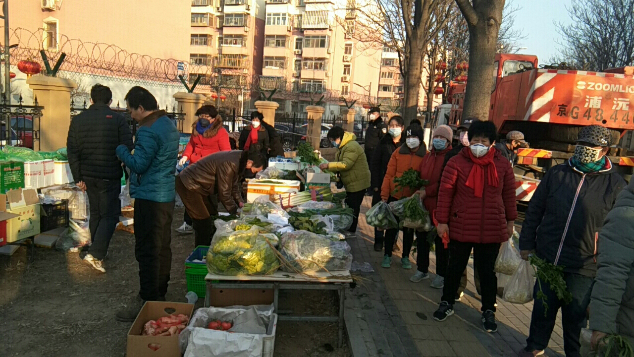 沈阳东湖社区封闭，居民生活调整与社区管理的挑战与应对