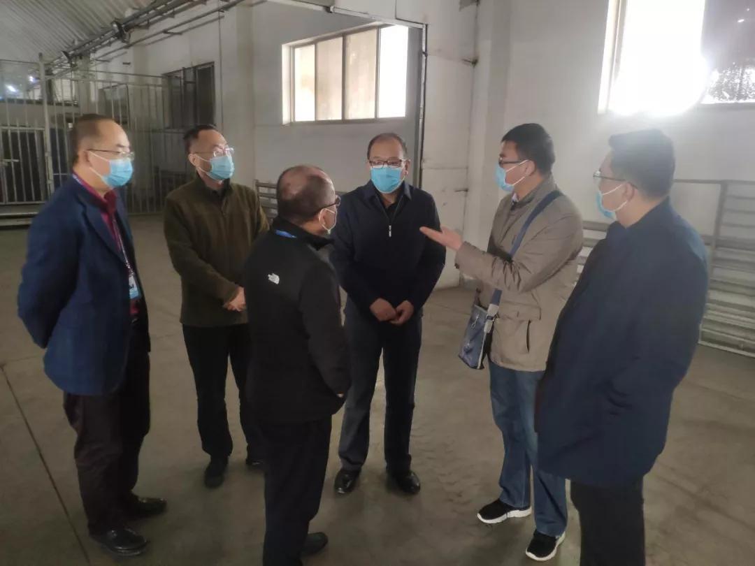 上海疫情局兰州分局电话服务指南，如何高效获取疫情相关信息