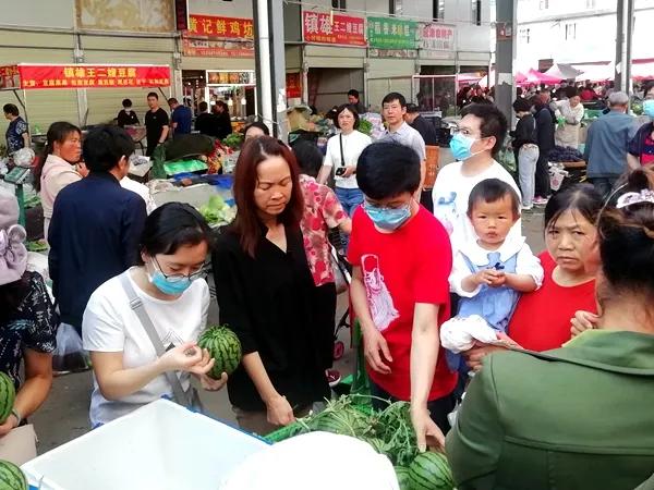 上海新冠肺炎疫情最新动态，防控措施、数据解析与未来展望