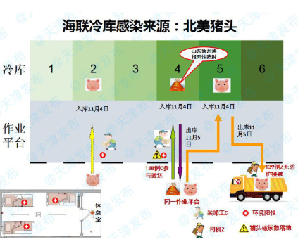 上海天津疫情源头探析，病毒传播路径与防控启示