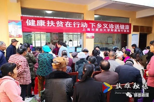 上海市卫健委领导班子分工解析，职能划分与责任担当