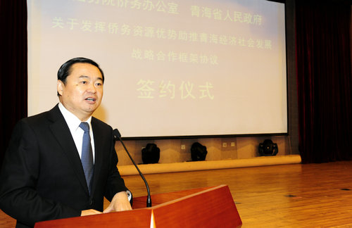 上海市人民政府驻青海办事处主任，职责、使命与区域合作桥梁
